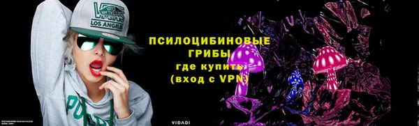 стафф Новодвинск