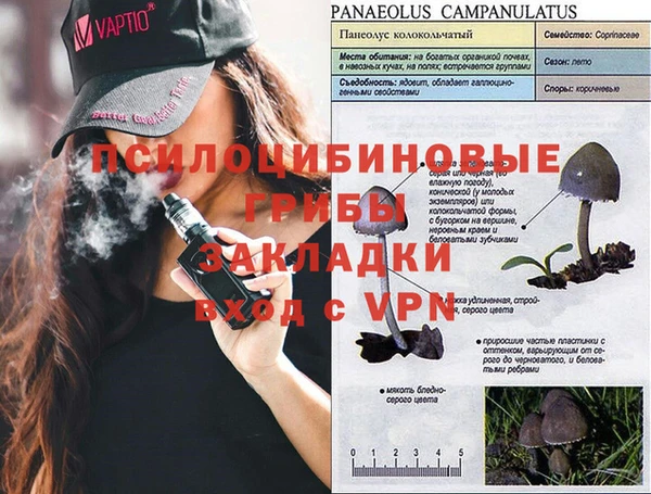 кристаллы Новозыбков