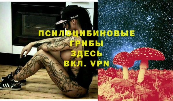 первитин Беломорск