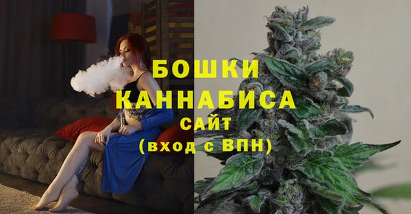 крисы Белокуриха